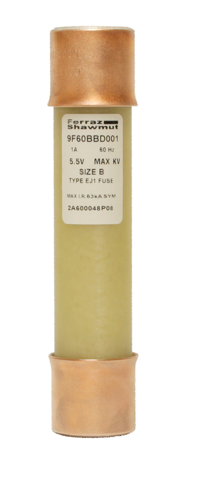 9F60BBD001 (POTENTIAL TRANSFORMER FUSES)