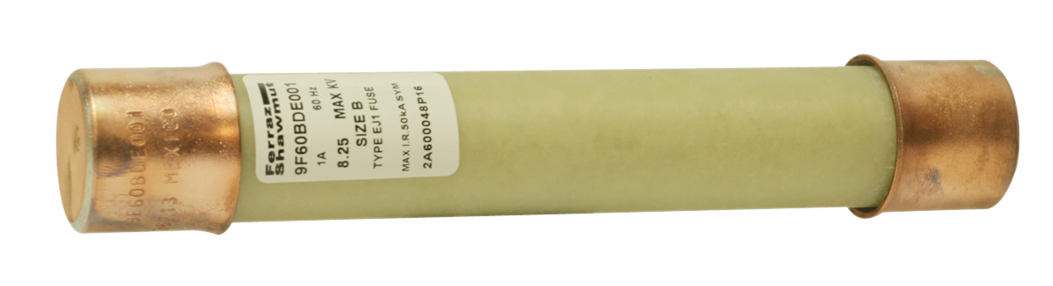 9F60BDE002 (POTENTIAL TRANSFORMER FUSES)